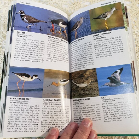 Vintage Field Guide to the Southeastern States Softcover Book - Picture 8 of 8